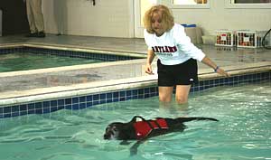 Photo of pool facilities at Canine Fitness Center