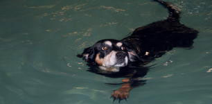 Photo of Lucy enjoying her aqua exercise