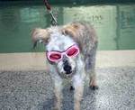 Testimonial Photo - Chami